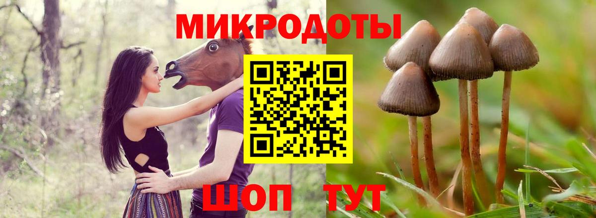 Галлюциногенные грибы прущие грибы  Вход с VPN  Псилоцибиновые грибы MAGIC MUSHROOMS  Вязьма 